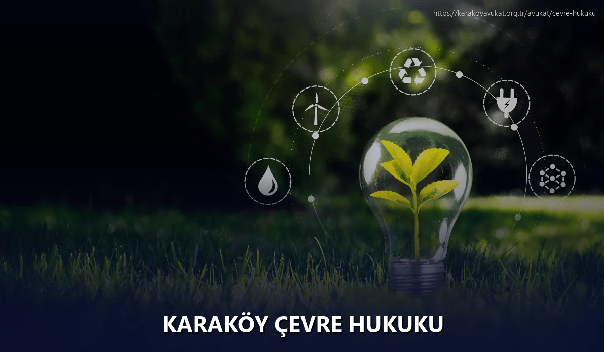 Karaköy Çevre Hukuku